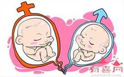 北京代孕收费,北京代孕生仔,32天孕酮和人绒多少正常